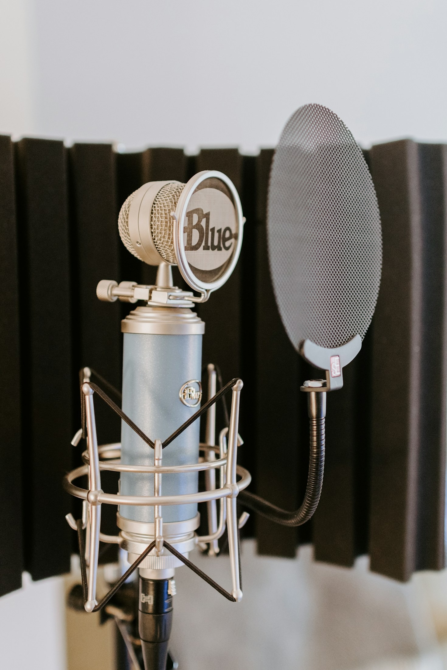 Music as a Universal Language of Connection